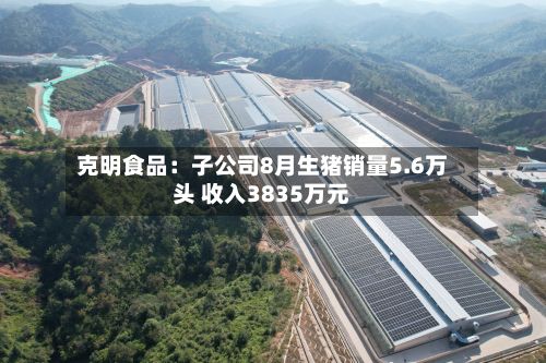 克明食品:子公司8月生猪销量5.6万头 收入3835万元-第2张图片