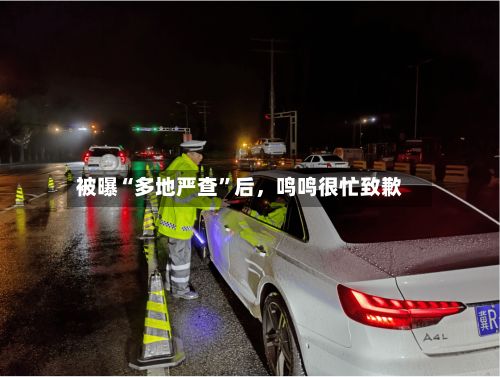 被曝“多地严查”后，鸣鸣很忙致歉-第3张图片