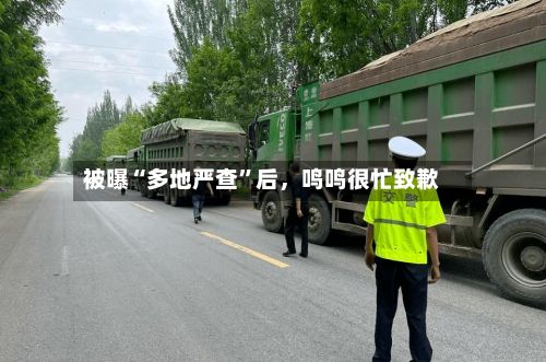被曝“多地严查”后，鸣鸣很忙致歉