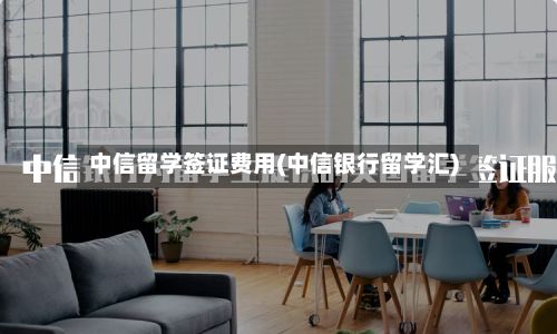 中信留学签证费用(中信银行留学汇)