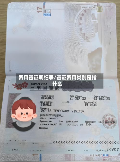费用签证明细表/签证费用类别是指什么