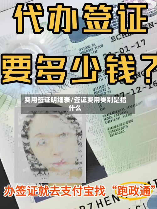 费用签证明细表/签证费用类别是指什么-第2张图片