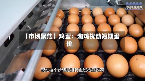 【市场聚焦】鸡蛋：淘鸡扰动短期蛋价-第2张图片
