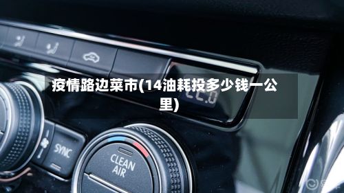 疫情路边菜市(14油耗投多少钱一公里)-第3张图片