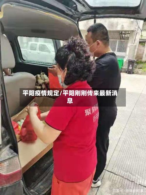 平阳疫情规定/平阳刚刚传来最新消息-第2张图片