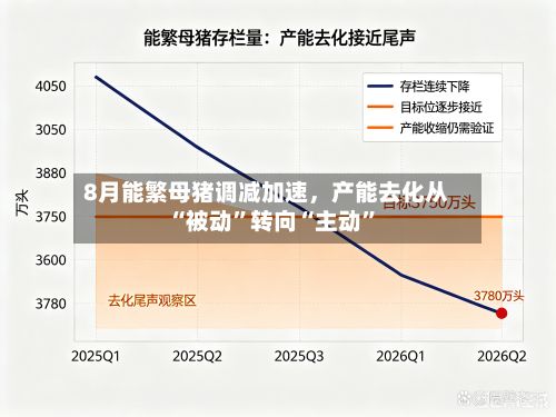 8月能繁母猪调减加速	，产能去化从“被动	”转向“主动”-第2张图片