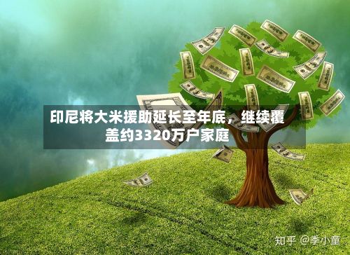 印尼将大米援助延长至年底	，继续覆盖约3320万户家庭-第2张图片