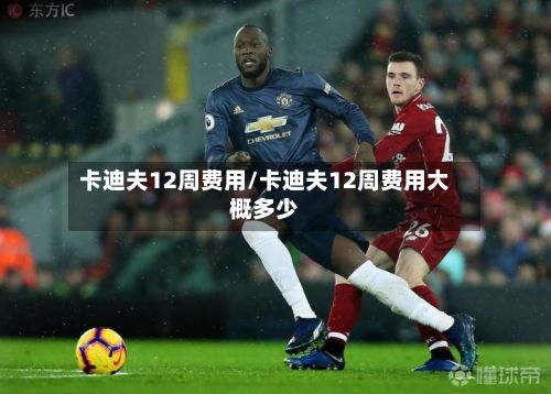 卡迪夫12周费用/卡迪夫12周费用大概多少-第2张图片