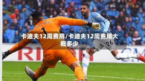 卡迪夫12周费用/卡迪夫12周费用大概多少
