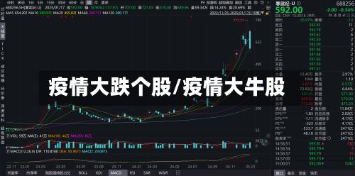 疫情大跌个股/疫情大牛股