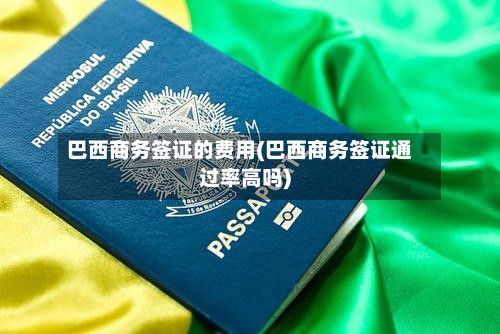 巴西商务签证的费用(巴西商务签证通过率高吗)-第2张图片