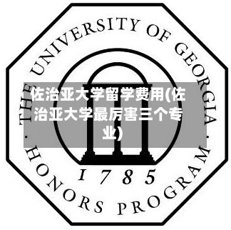 佐治亚大学留学费用(佐治亚大学最厉害三个专业)