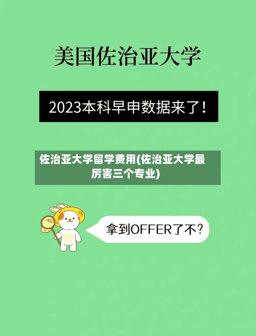 佐治亚大学留学费用(佐治亚大学最厉害三个专业)-第3张图片