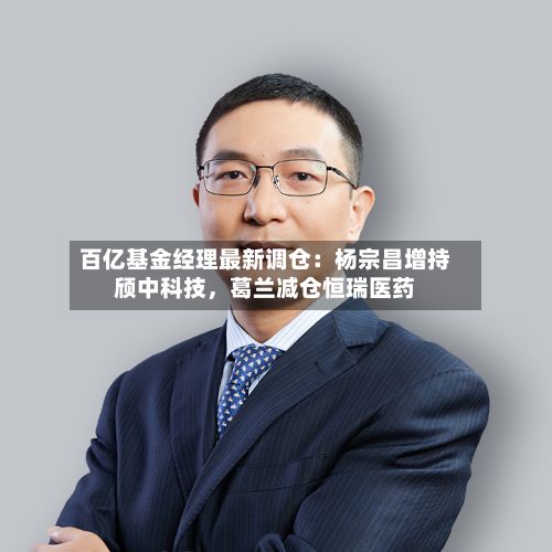 百亿基金经理最新调仓：杨宗昌增持颀中科技，葛兰减仓恒瑞医药-第3张图片