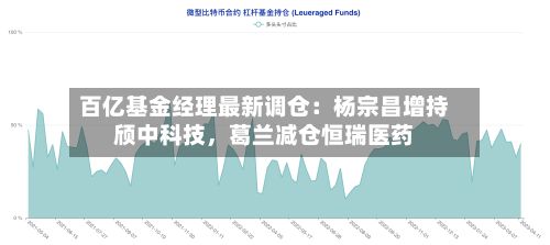 百亿基金经理最新调仓：杨宗昌增持颀中科技	，葛兰减仓恒瑞医药-第2张图片