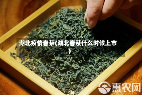 湖北疫情春茶(湖北春茶什么时候上市)