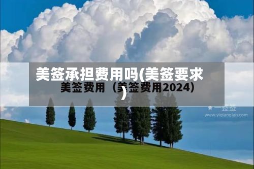 美签承担费用吗(美签要求)-第3张图片