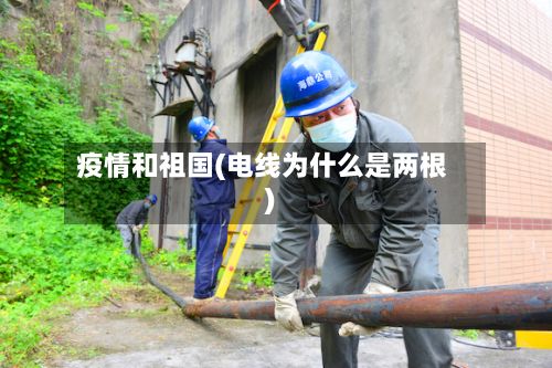 疫情和祖国(电线为什么是两根)