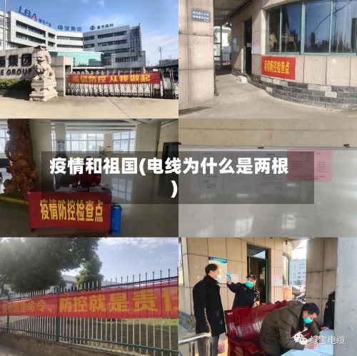 疫情和祖国(电线为什么是两根)-第2张图片