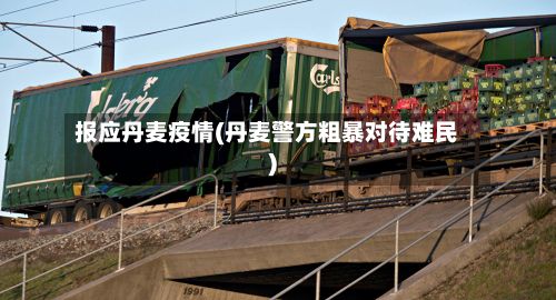 报应丹麦疫情(丹麦警方粗暴对待难民)