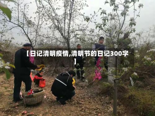 【日记清明疫情,清明节的日记300字】
