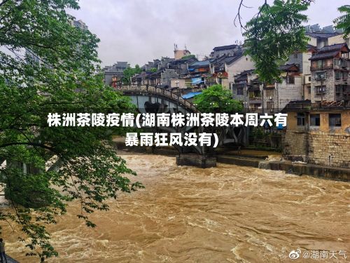 株洲茶陵疫情(湖南株洲茶陵本周六有暴雨狂风没有)
