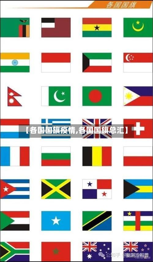 【各国国旗疫情,各国国旗总汇】-第3张图片