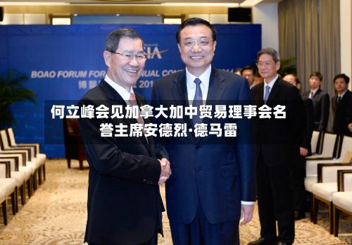 何立峰会见加拿大加中贸易理事会名誉主席安德烈·德马雷-第3张图片