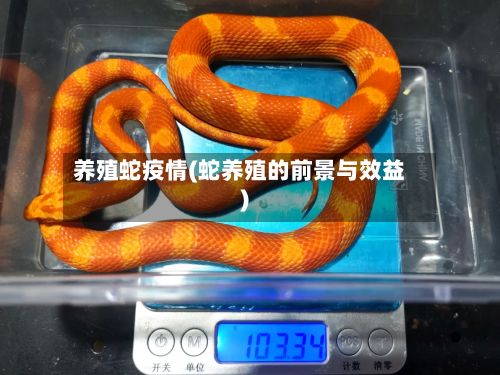 养殖蛇疫情(蛇养殖的前景与效益)