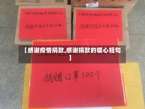 【感谢疫情捐款,感谢捐款的暖心短句】-第2张图片