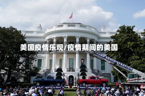 美国疫情乐观/疫情期间的美国