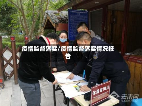 疫情监督落实/疫情监督落实情况报告-第2张图片