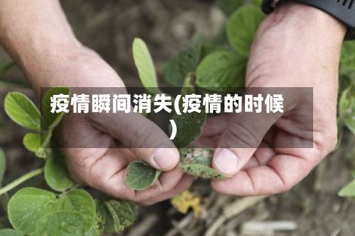 疫情瞬间消失(疫情的时候)-第2张图片