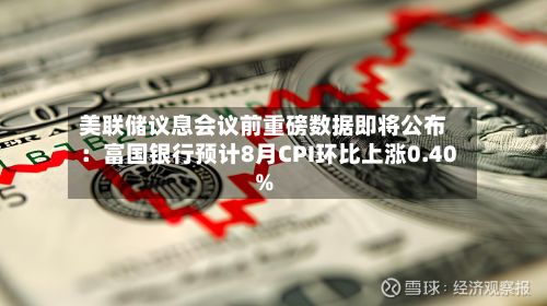 美联储议息会议前重磅数据即将公布:富国银行预计8月CPI环比上涨0.40%-第2张图片