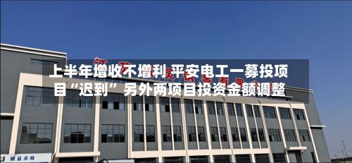 上半年增收不增利 平安电工一募投项目“迟到	” 另外两项目投资金额调整-第2张图片