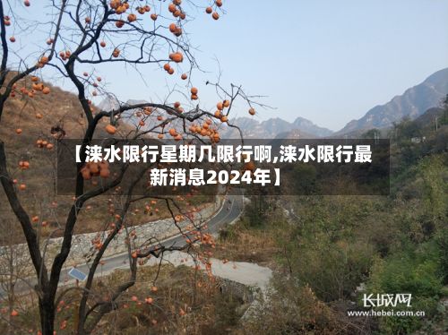 【涞水限行星期几限行啊,涞水限行最新消息2024年】