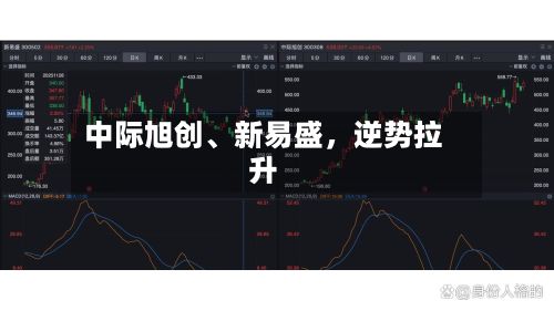 中际旭创、新易盛，逆势拉升-第3张图片