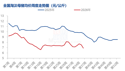 8月能繁母猪调减加速，产能去化从“被动”转向“主动	”