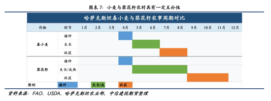 【建投专题】麦田之外:哈萨克斯坦油籽产业的崛起